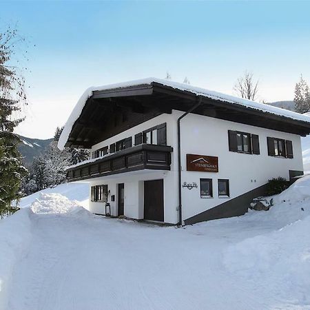 Steinberghaus Ferienhaus Villa Leogang Buitenkant foto