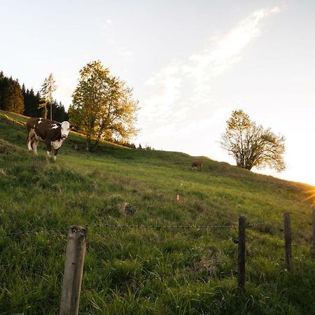 Steinberghaus Ferienhaus Villa Leogang Buitenkant foto