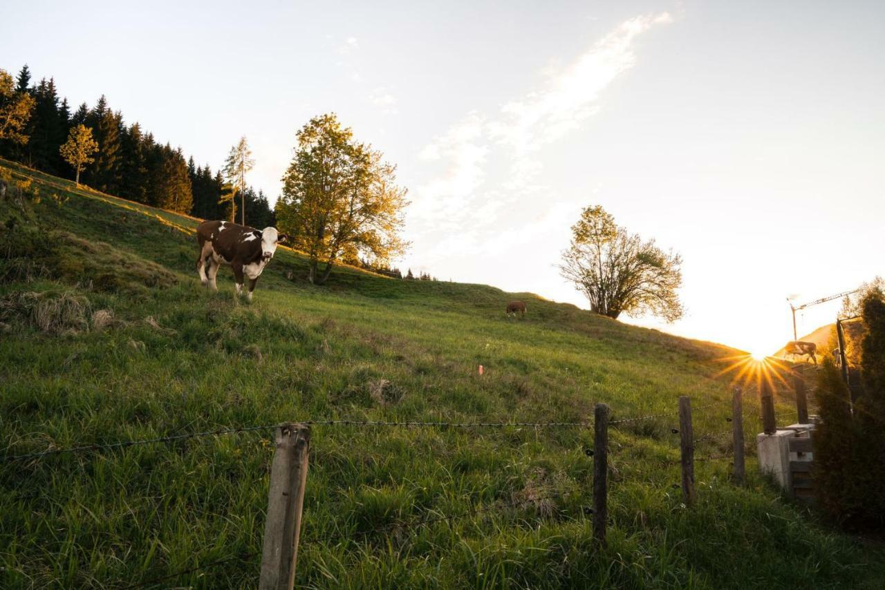 Steinberghaus Ferienhaus Villa Leogang Buitenkant foto